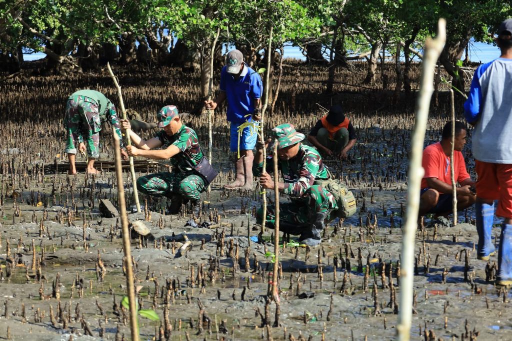 Lestarikan Pantai, Satgas TMMD Kodim 1505/Tidore Galakkan Penanaman Mangrove di Oba Selatan