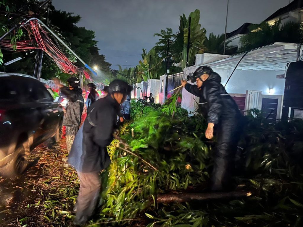 Brimob Polda Metro Jaya Sigap Evakuasi Pohon Tumbang di Kebayoran Baru, Arus Lalu Lintas Kembali Lancar