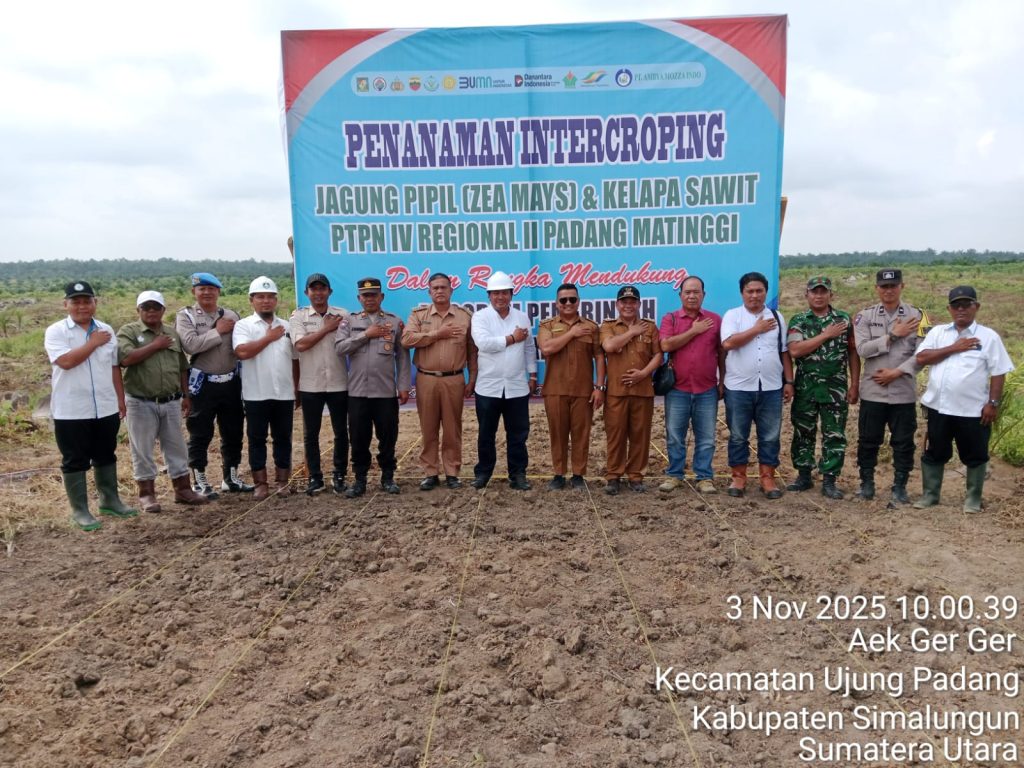 Polsek Bosar Maligas Kawal Tanam Perdana Jagung di PTPN IV, Dukung Program Ketahanan Pangan Presiden