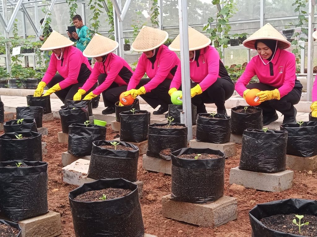 Perkuat Ketahanan Pangan, Bhayangkari Metro Jaya Launching Pekarangan Pangan Lestari (P2L) di Padurenan