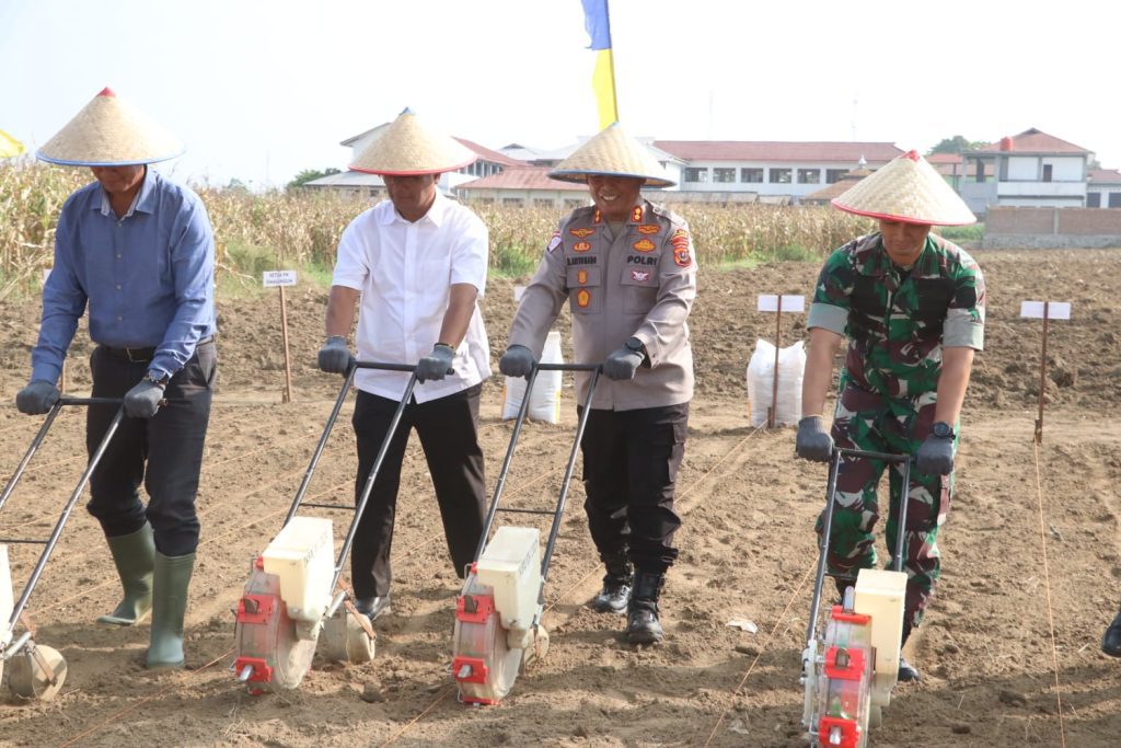 Kapolres Simalungun Pimpin Penanaman Jagung Serentak, Wujud Nyata Polri Dukung Swasembada Pangan