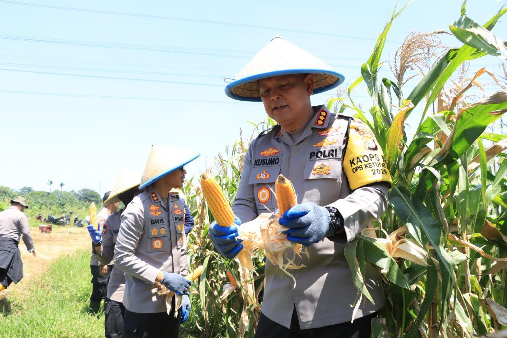 Dukung Ketahanan Pangan, Kapolres Metro Bekasi Kota Pimpin Panen Raya Jagung di Jatiasih