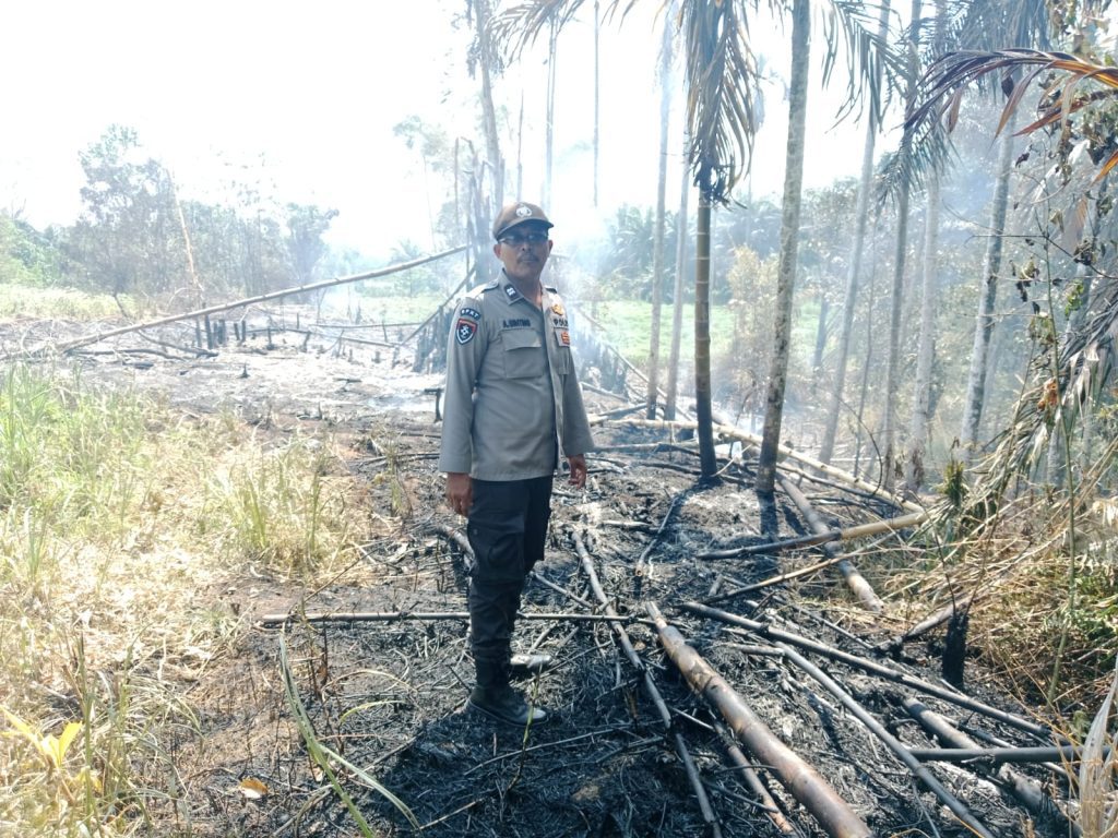 Sigap! Polsek Bangun Polres Simalungun Tangani Kebakaran Lahan 4 Hektare, Kapolres Himbau Warga Waspadai Karhutla di Musim Panas