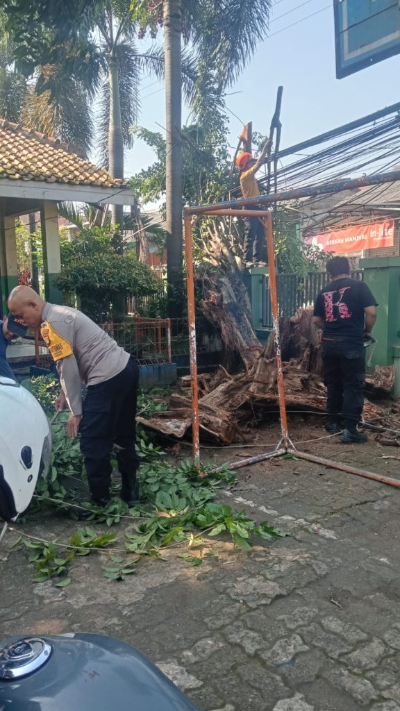 Respon Cepat, Polsek Bantargebang Bersama BPBD Bekasi Evakuasi Pohon Tumbang yang Tutupi Jalan
